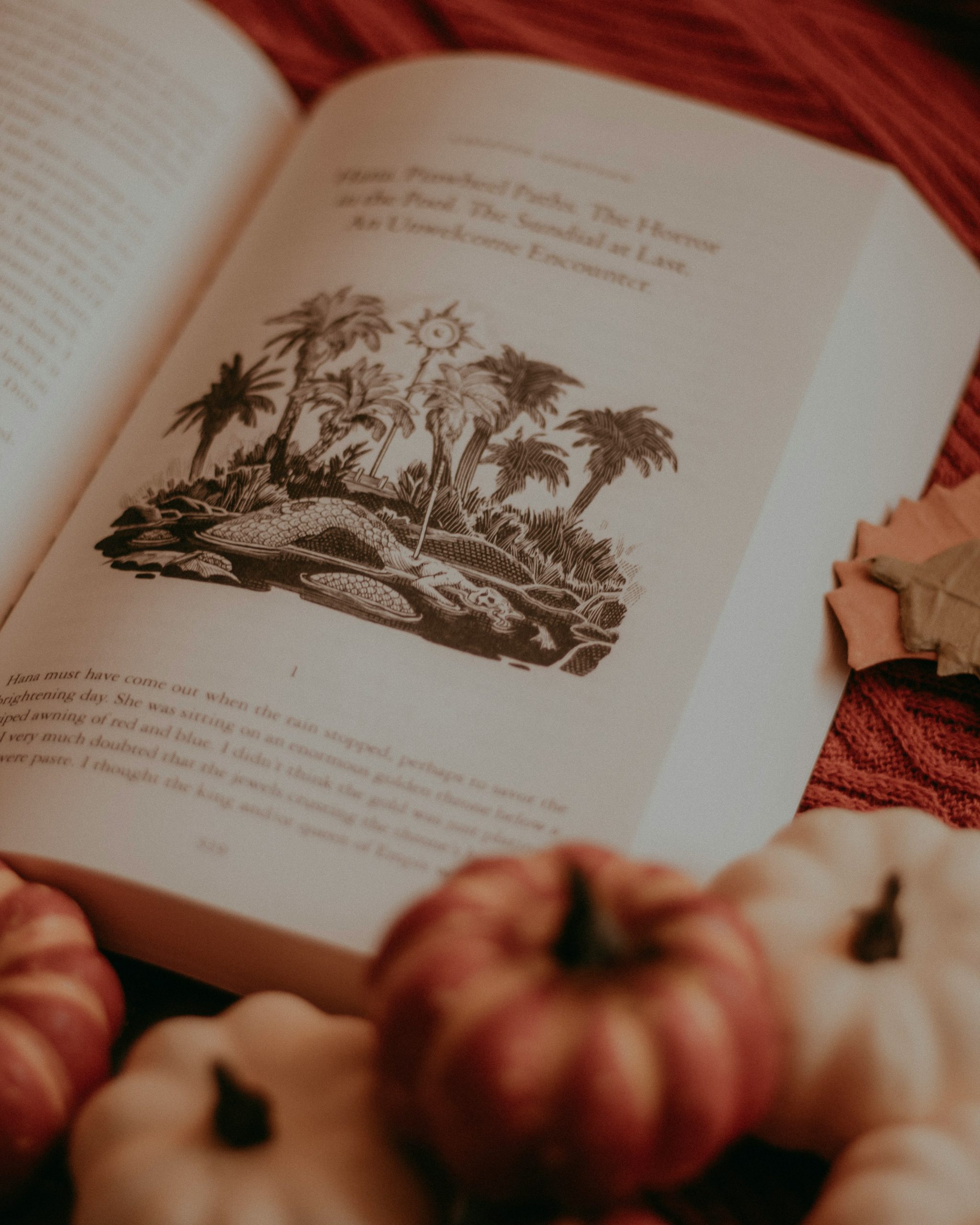 Laboratori di lettura - foto Unsplash