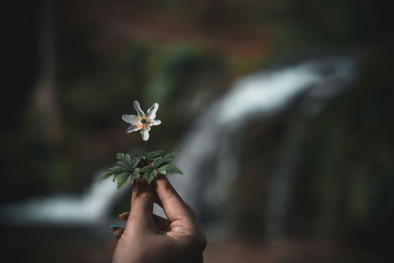 vitalii-onyshchuk-yccSe6Al1zg-unsplash